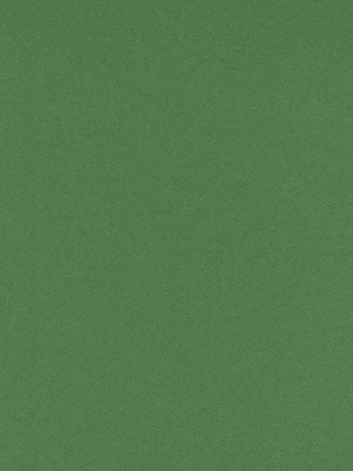 Art Card moss green 8.5 in. x 11 in.