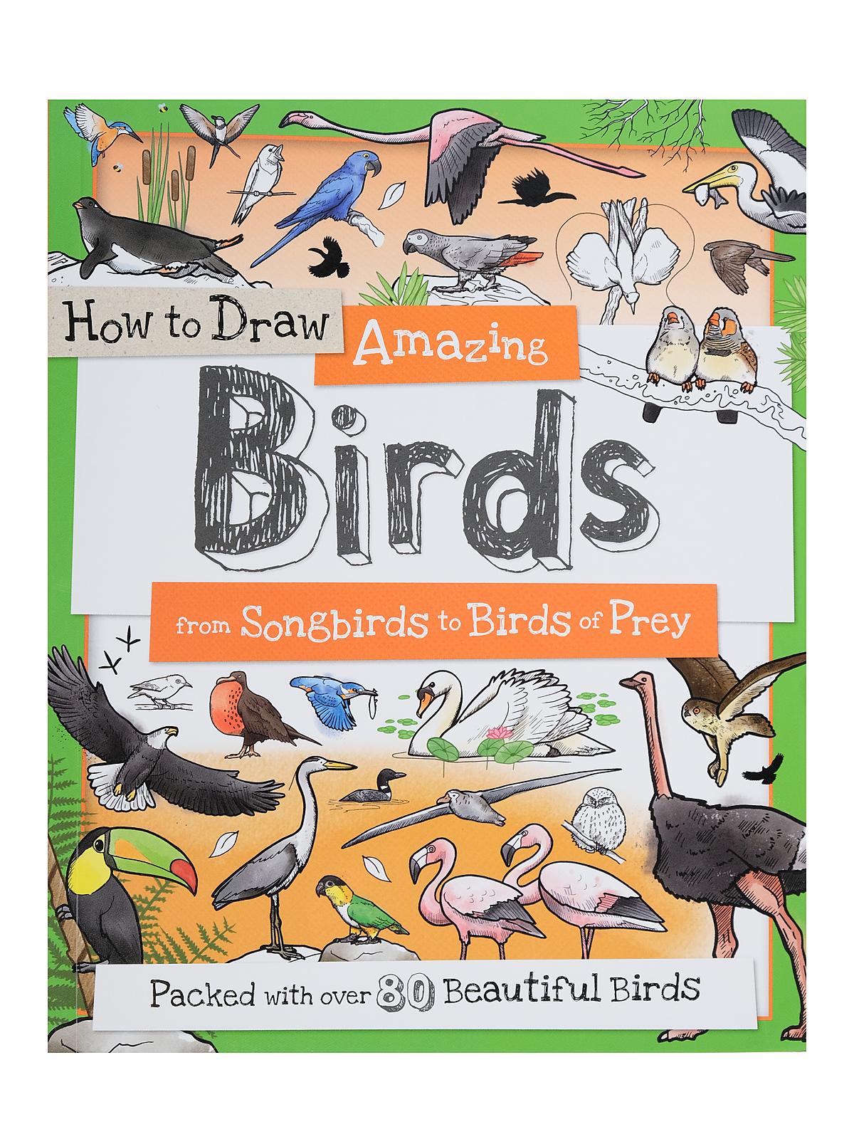 How to Draw Series Amazing Birds
