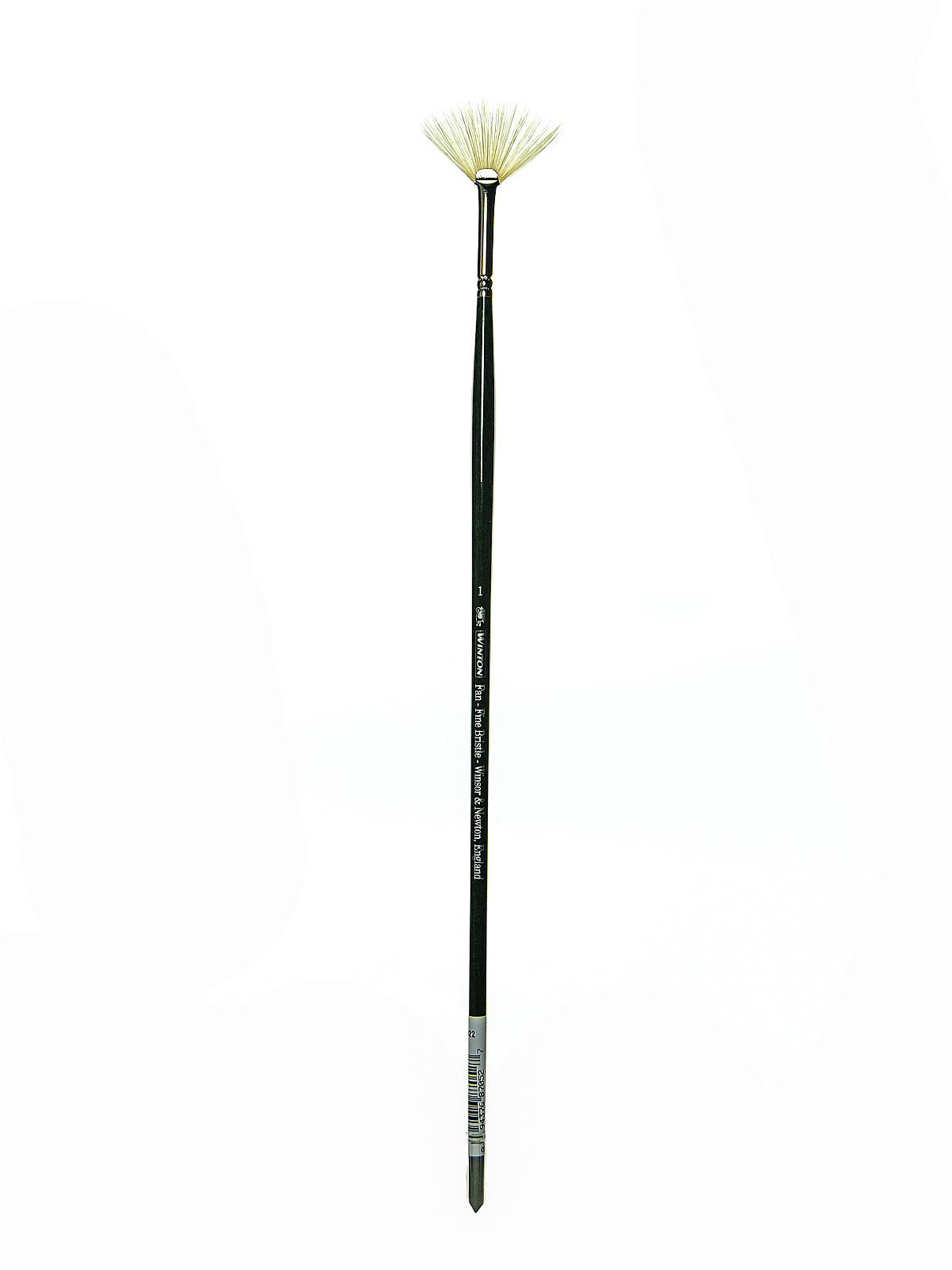 Winton Hog Brushes 1 fan
