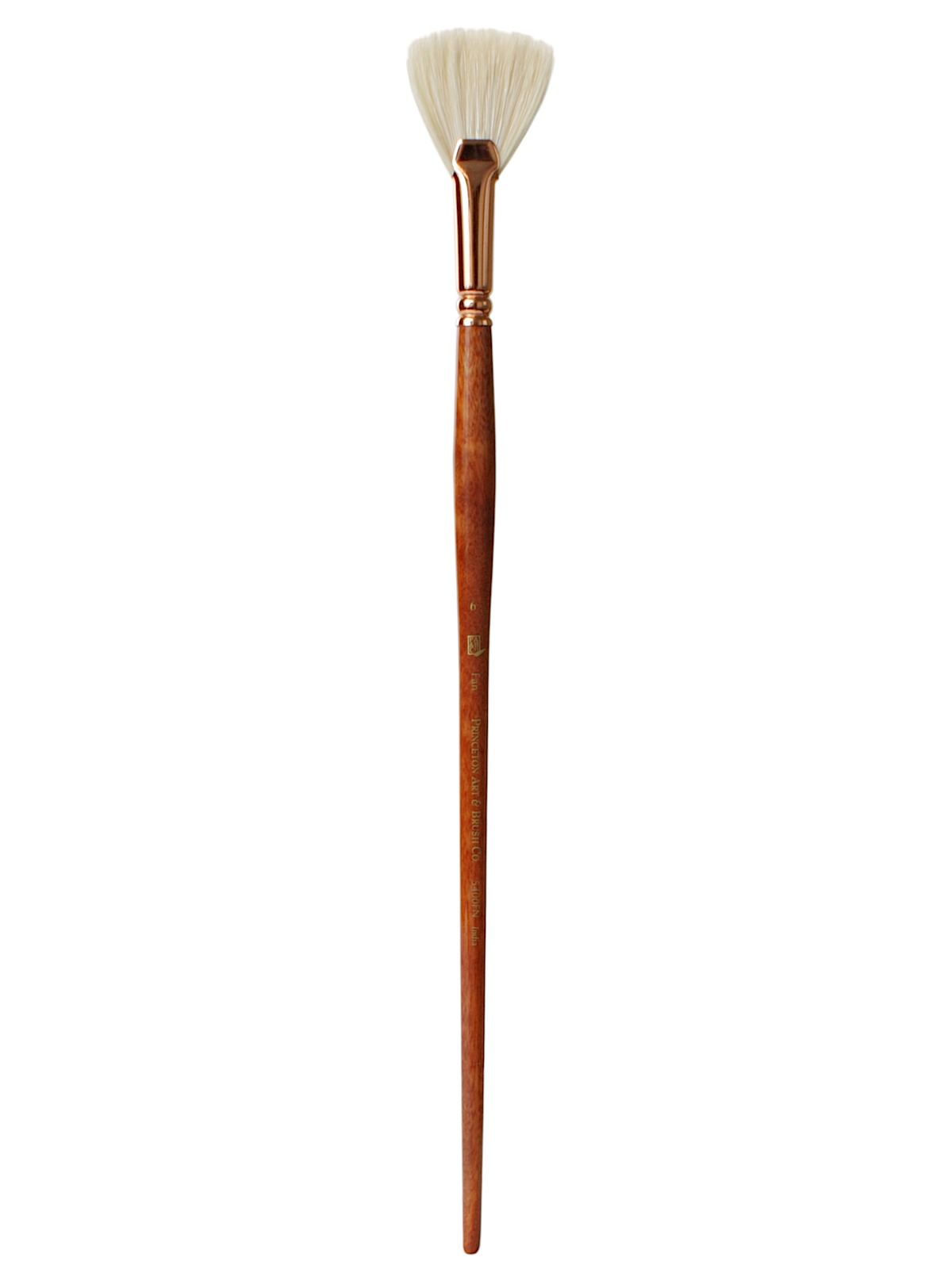 Series 5400 Refine Bristle Long Handle Brushes 6 fan