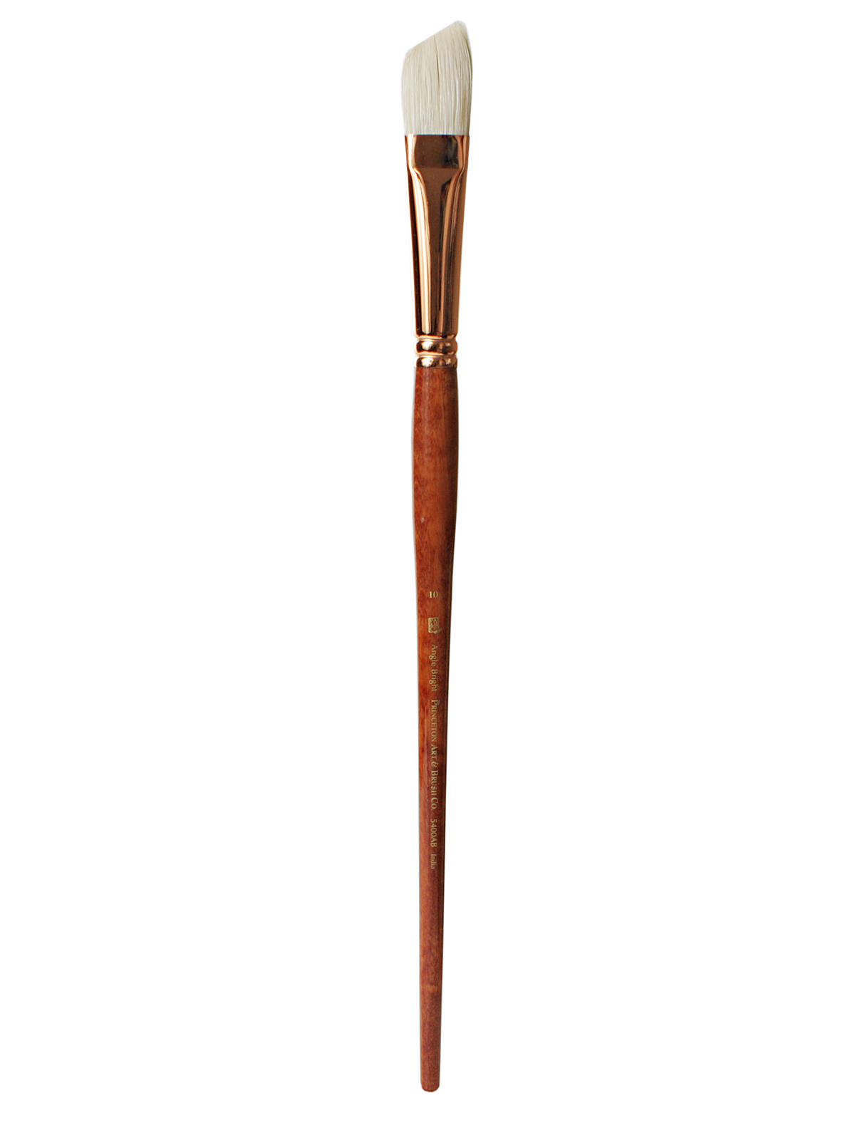 Series 5400 Refine Bristle Long Handle Brushes 10 angle bright