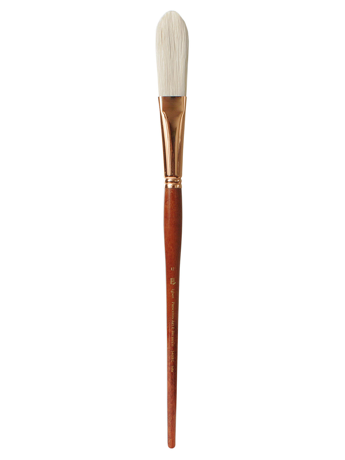 Series 5400 Refine Bristle Long Handle Brushes 12 eggbert
