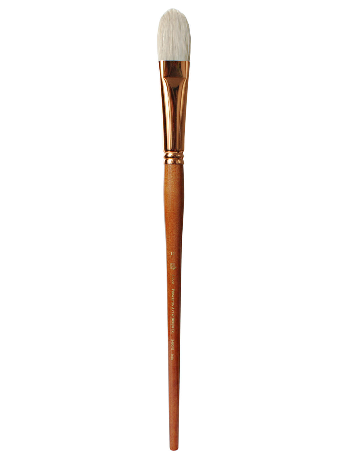 Series 5400 Refine Best Interlocked Bristle Long Handle Brushes 12 Filbert