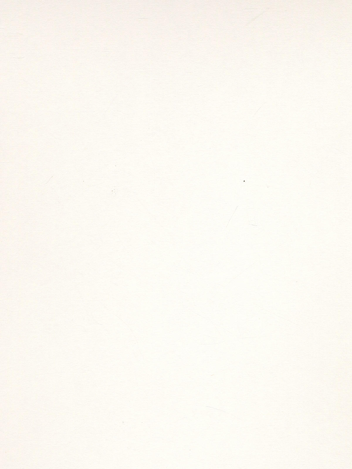 Bristol Sheets vellum 18 in. x 24 in.