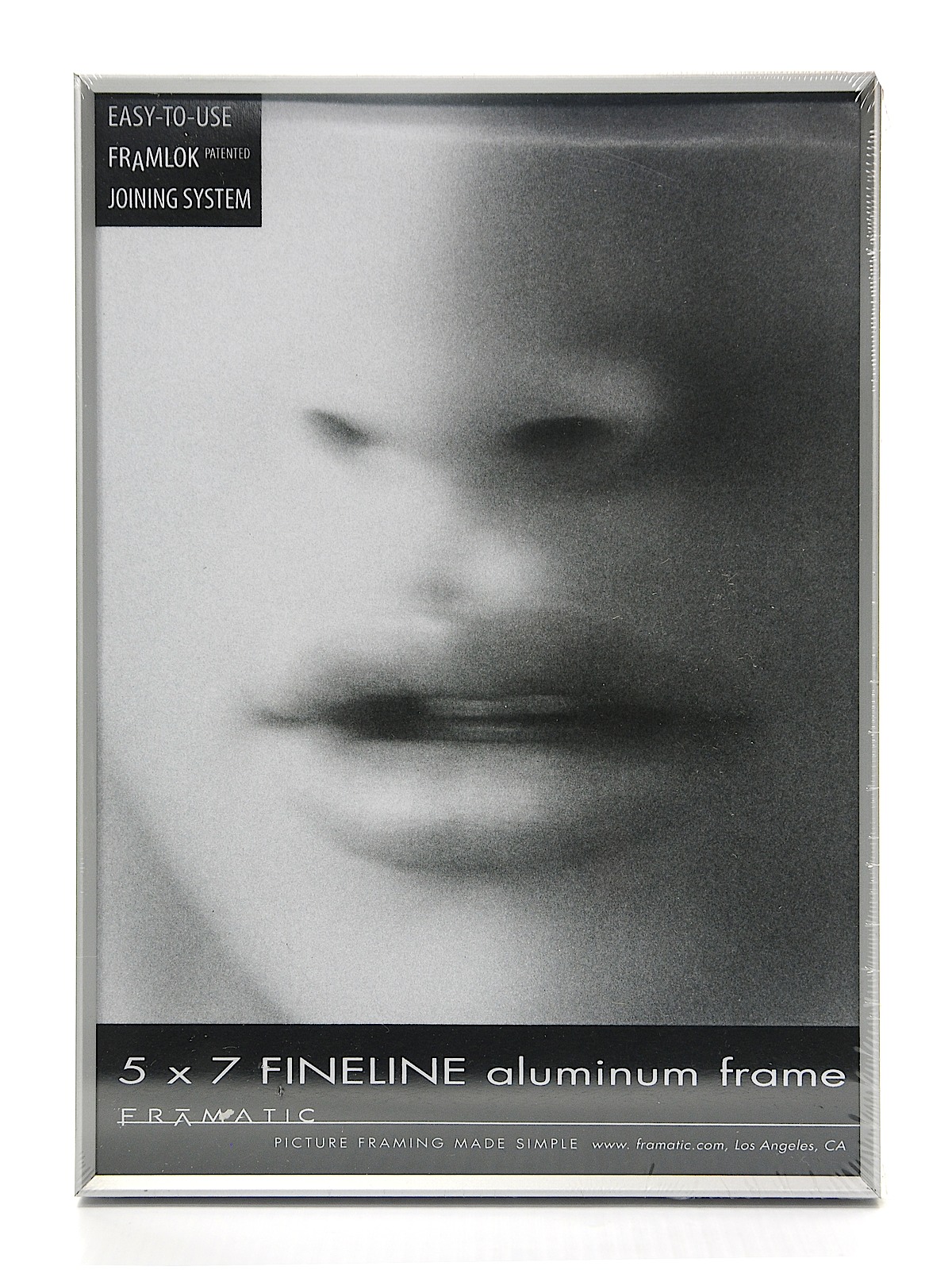 Fineline Aluminum Frames silver 5 in. x 7 in.