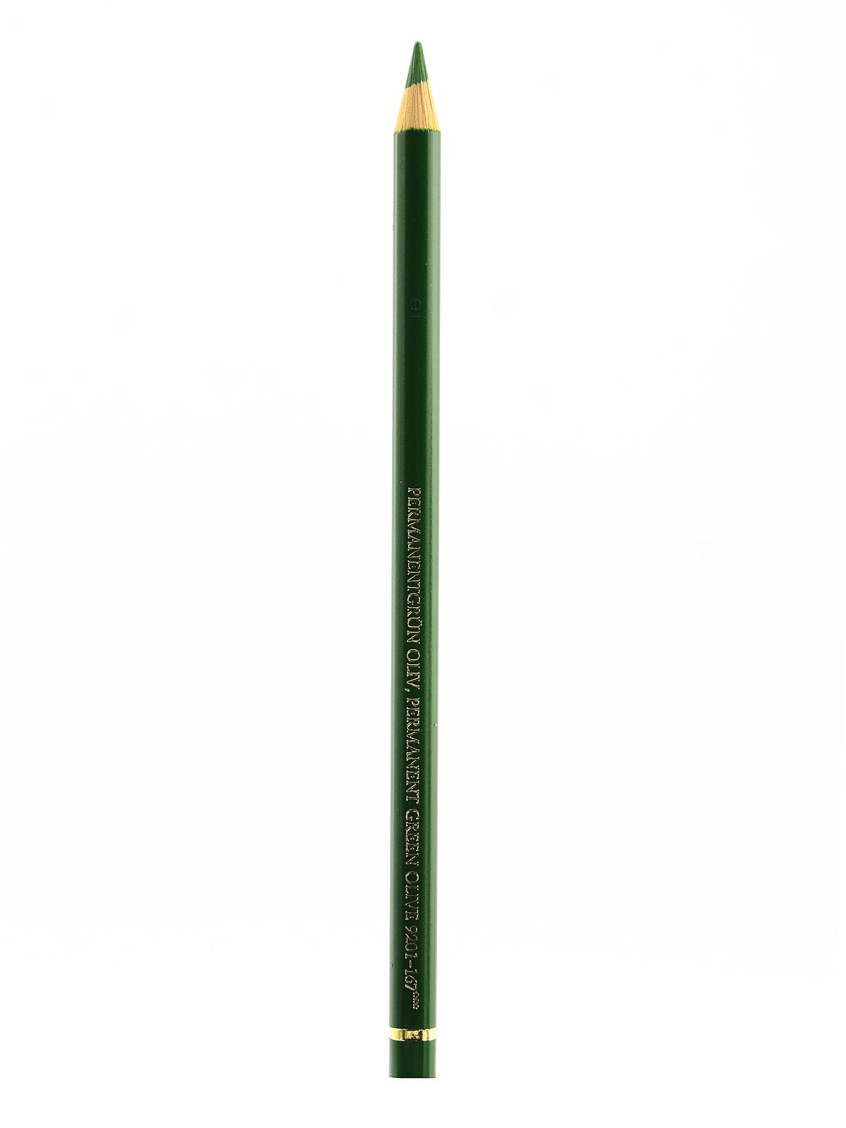 Polychromos Artist Colored Pencils (Each) permanent green olive 167
