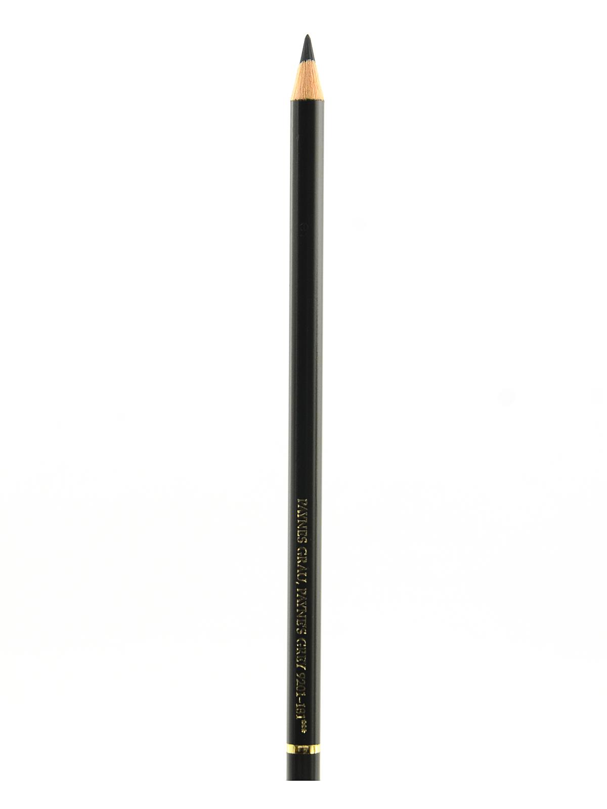 Polychromos Artist Colored Pencils (Each) paynes grey 181