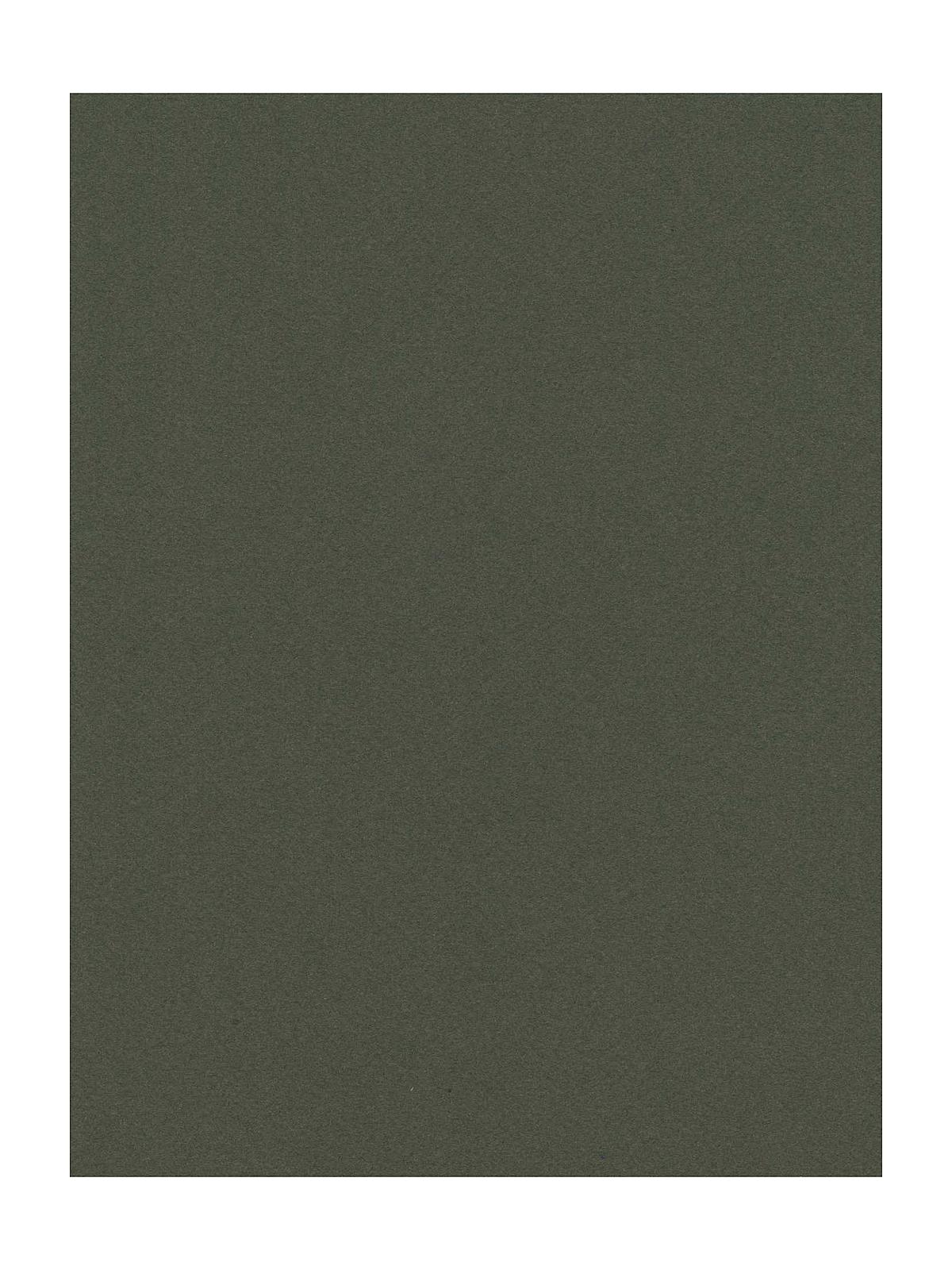Mi-Teintes Mat Board ivy 16 in. x 20 in.