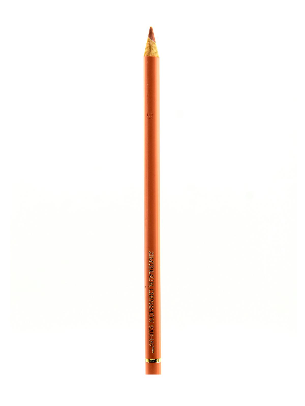 EAN 4005401101895 product image for Polychromos Artist Colored Pencils (Each) cinnamon 189 | upcitemdb.com