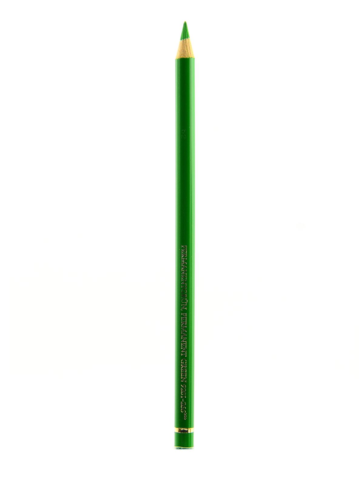 Polychromos Artist Colored Pencils (Each) permanent green 266