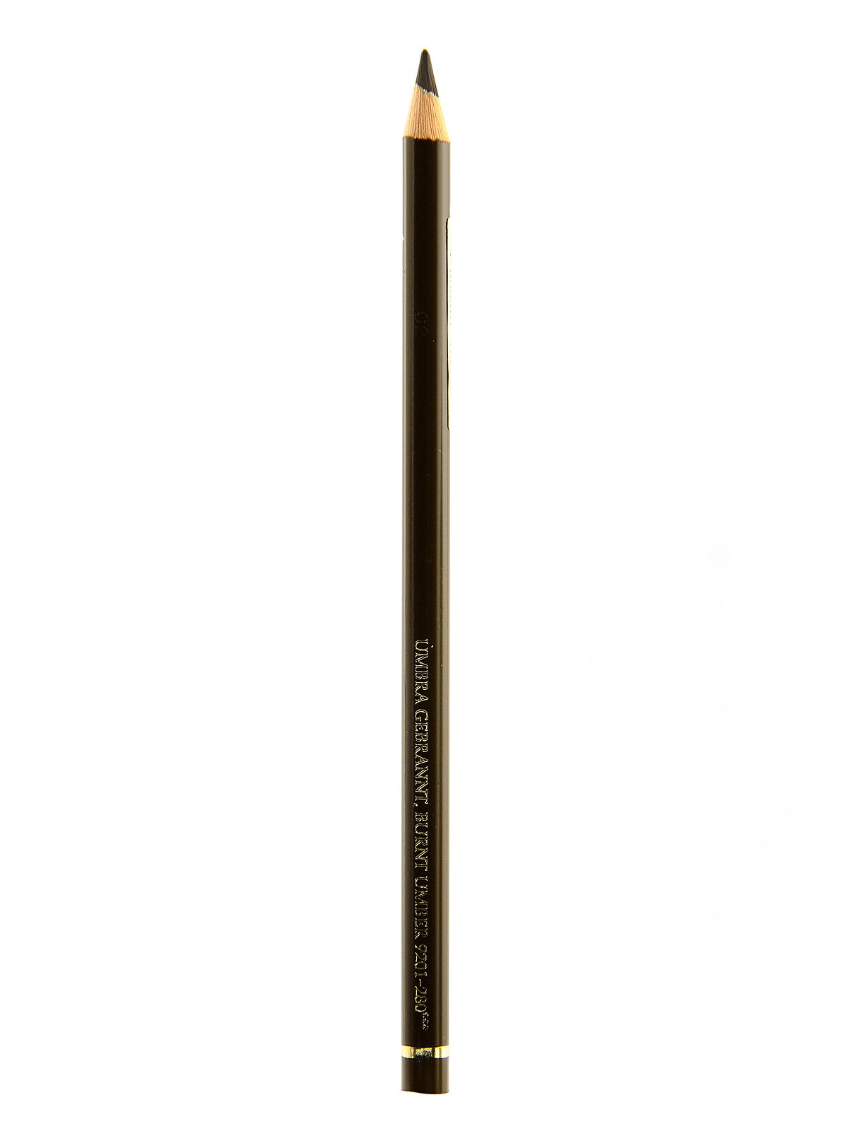 Polychromos Artist Colored Pencils (Each) burnt umber 280