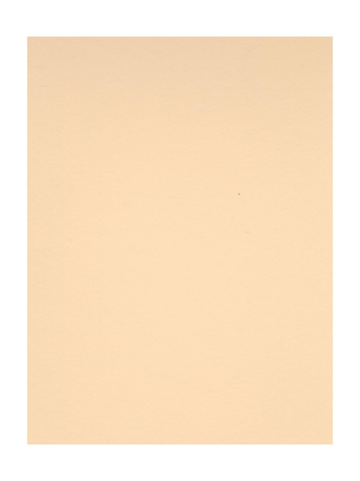 Colorline Heavyweight Paper Sheets cream 300 gsm 19 in. x 25 in.