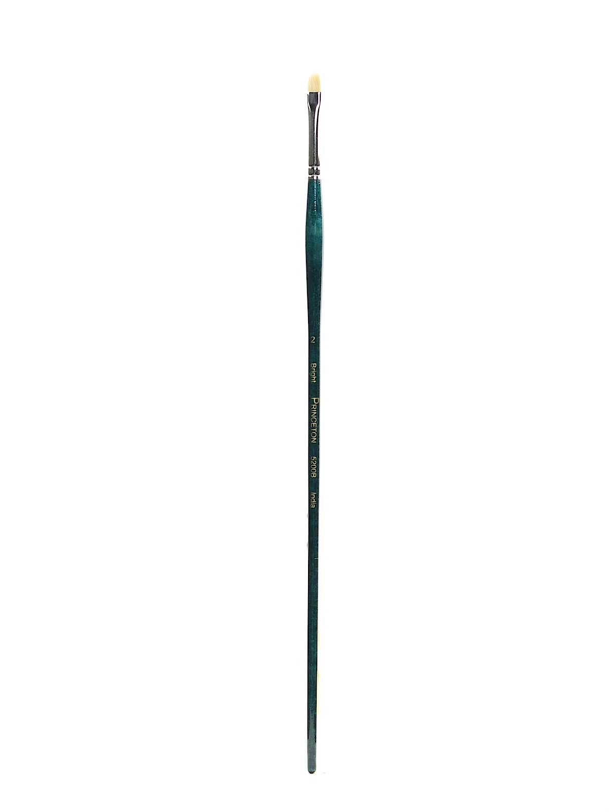 Series 5200 Ashley Long Handle Bristle Brushes 2 bright
