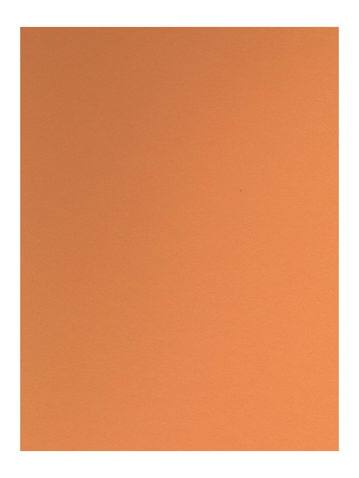 Colorline Heavyweight Paper Sheets leather 300 gsm 19 in. x 25 in.