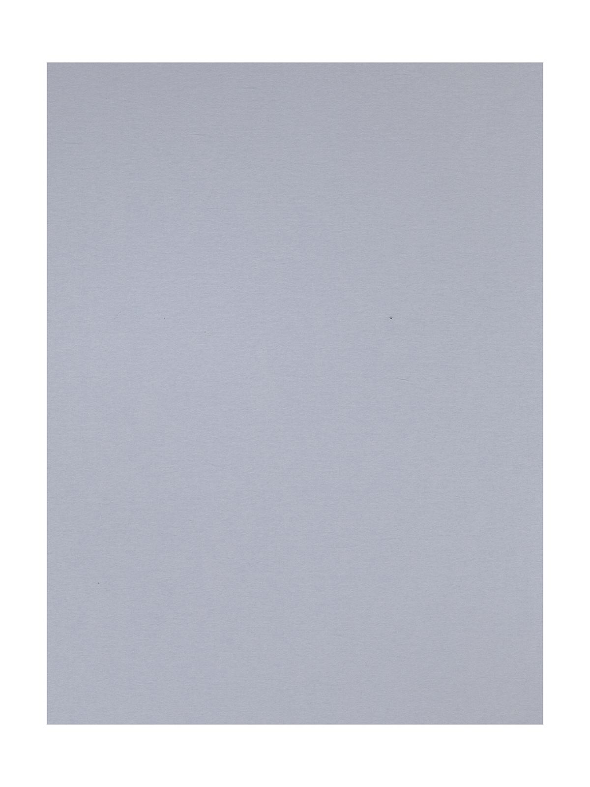 Colorline Heavyweight Paper Sheets Light Grey 300 Gsm 19 In. X 25 In.