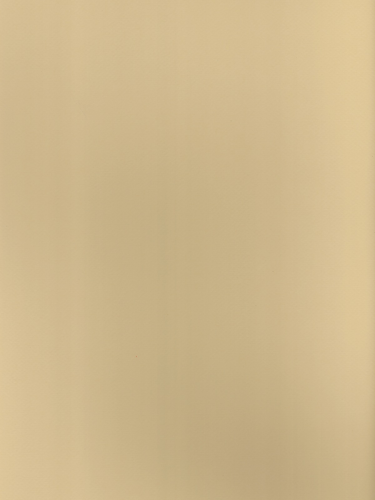 Mi-Teintes Mat Board cream 16 in. x 20 in.