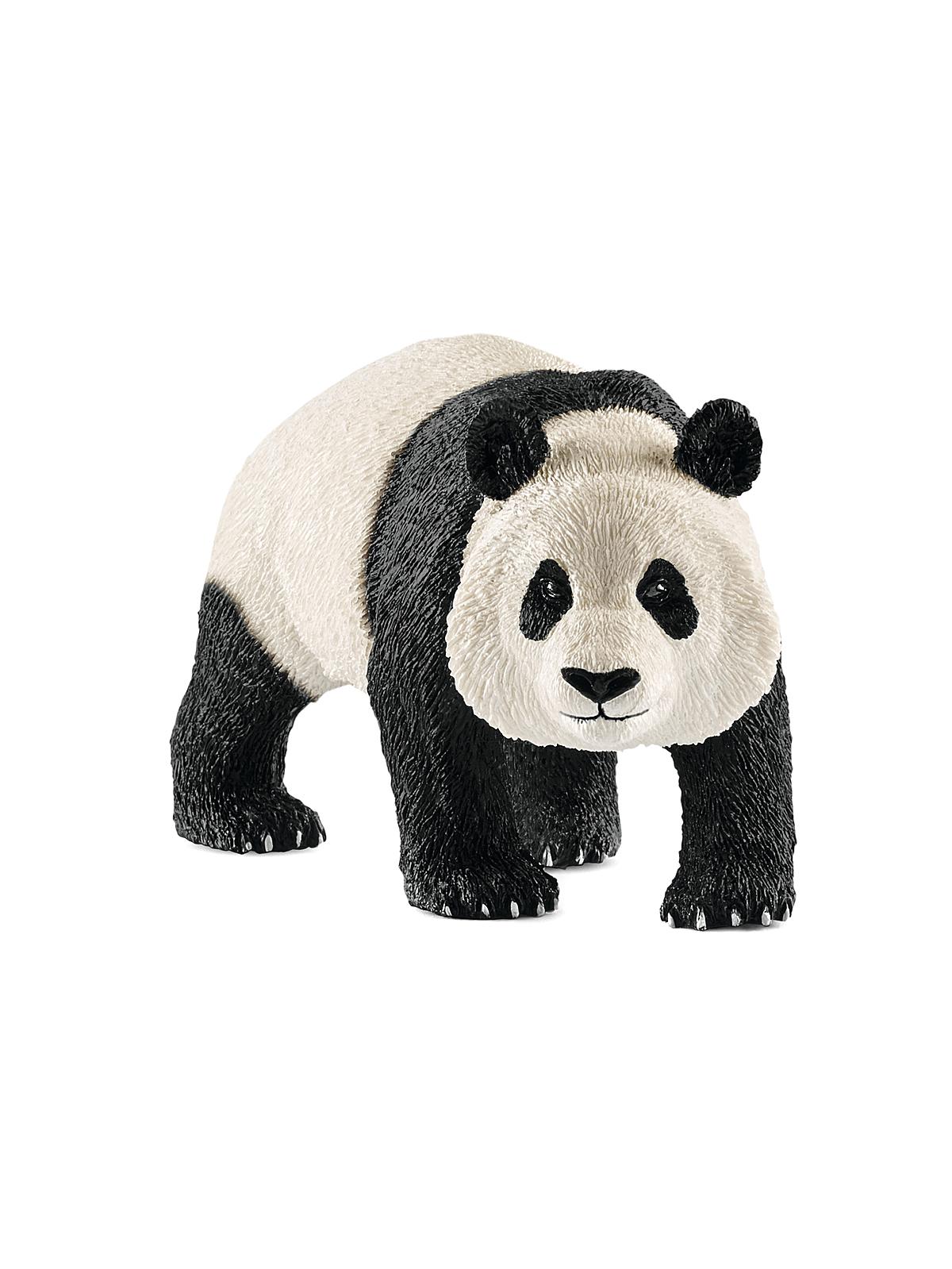 Wild Life Animals panda male