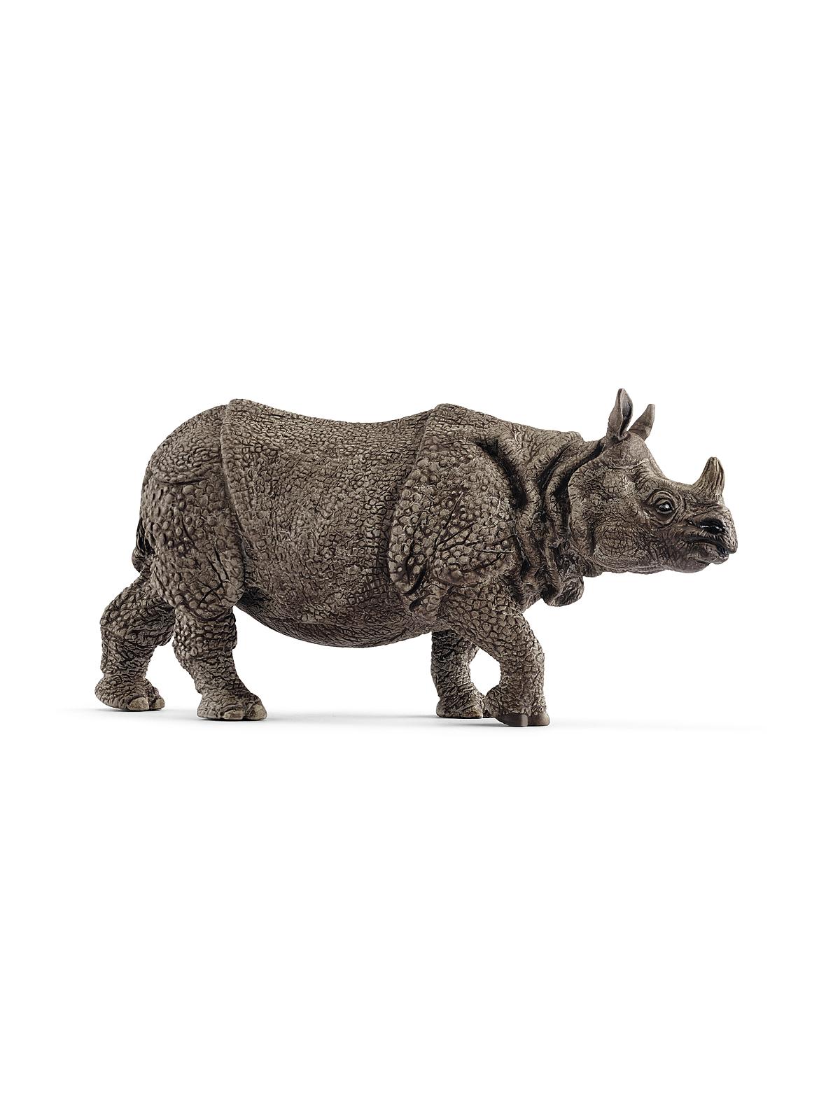 Wild Life Animals Indian Rhinoceros