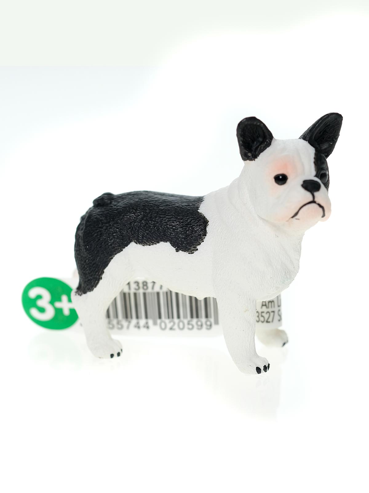Farm World Animals French Bulldog