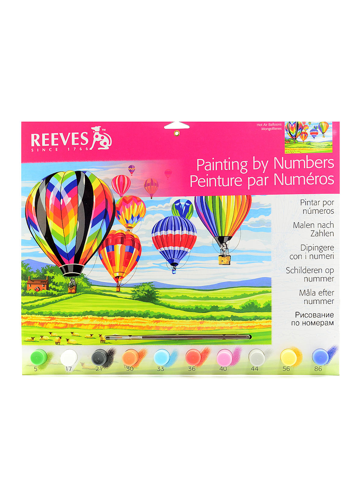 Painting By Numbers Hot Air Balloons