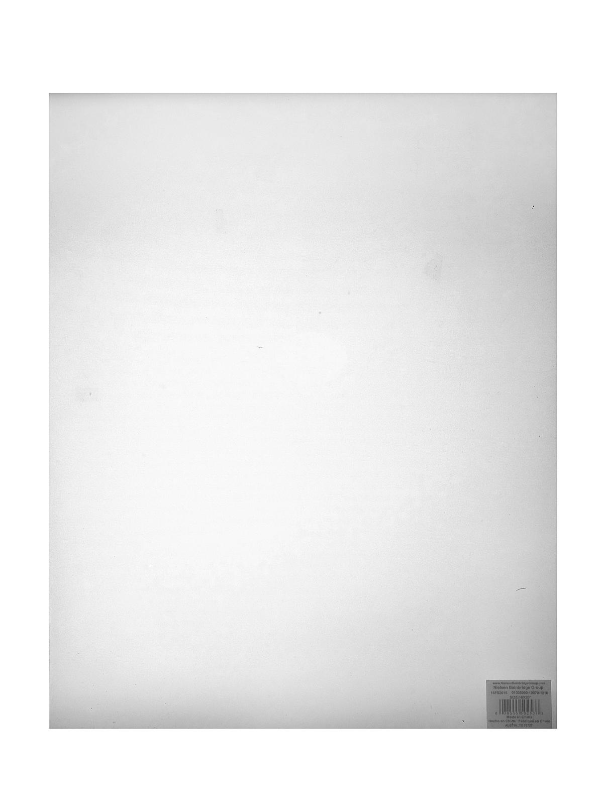 Non-Glare Polystyrene Sheets 16 in. x 20 in.