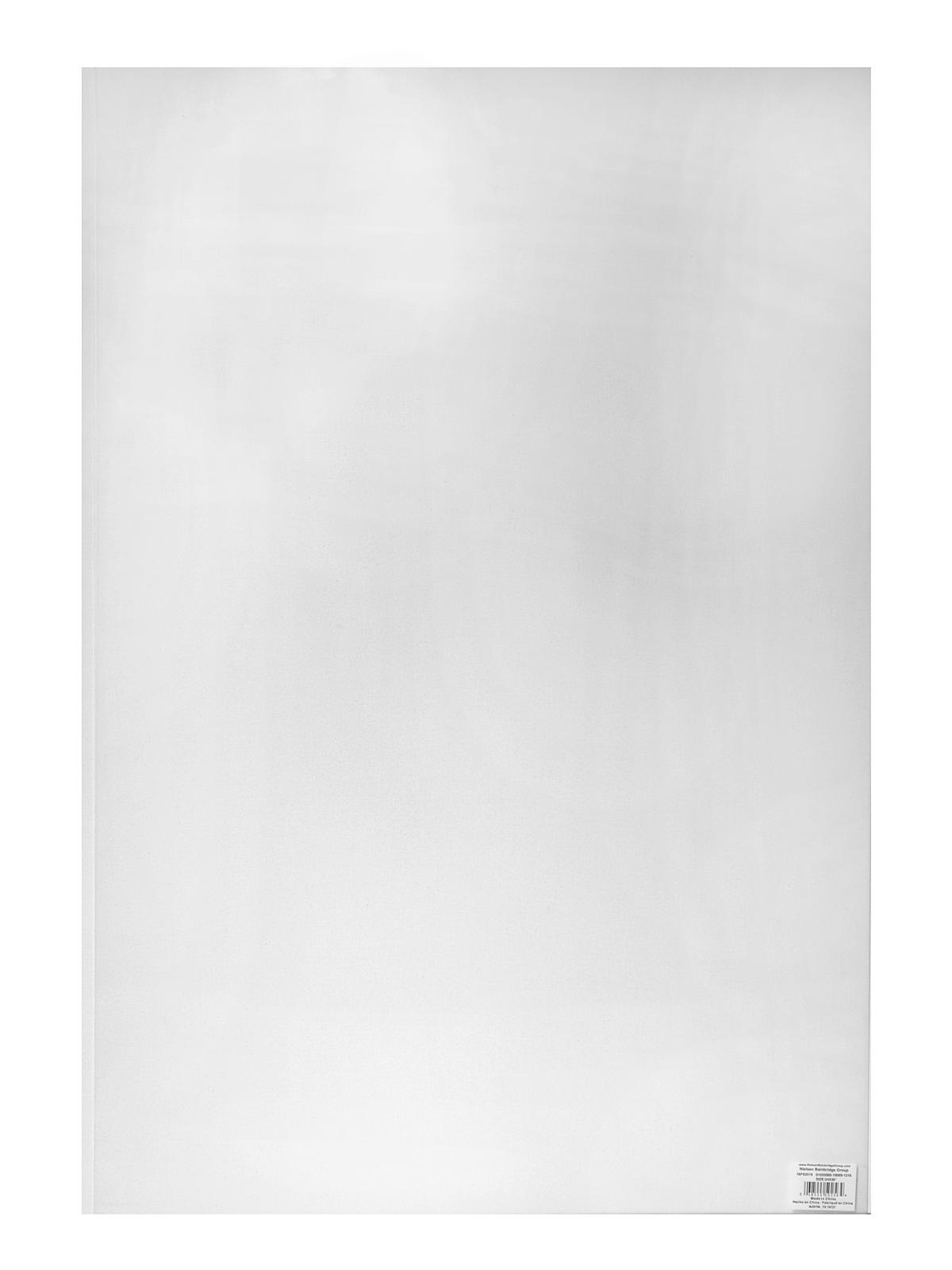Non-Glare Polystyrene Sheets 24 in. x 36 in.