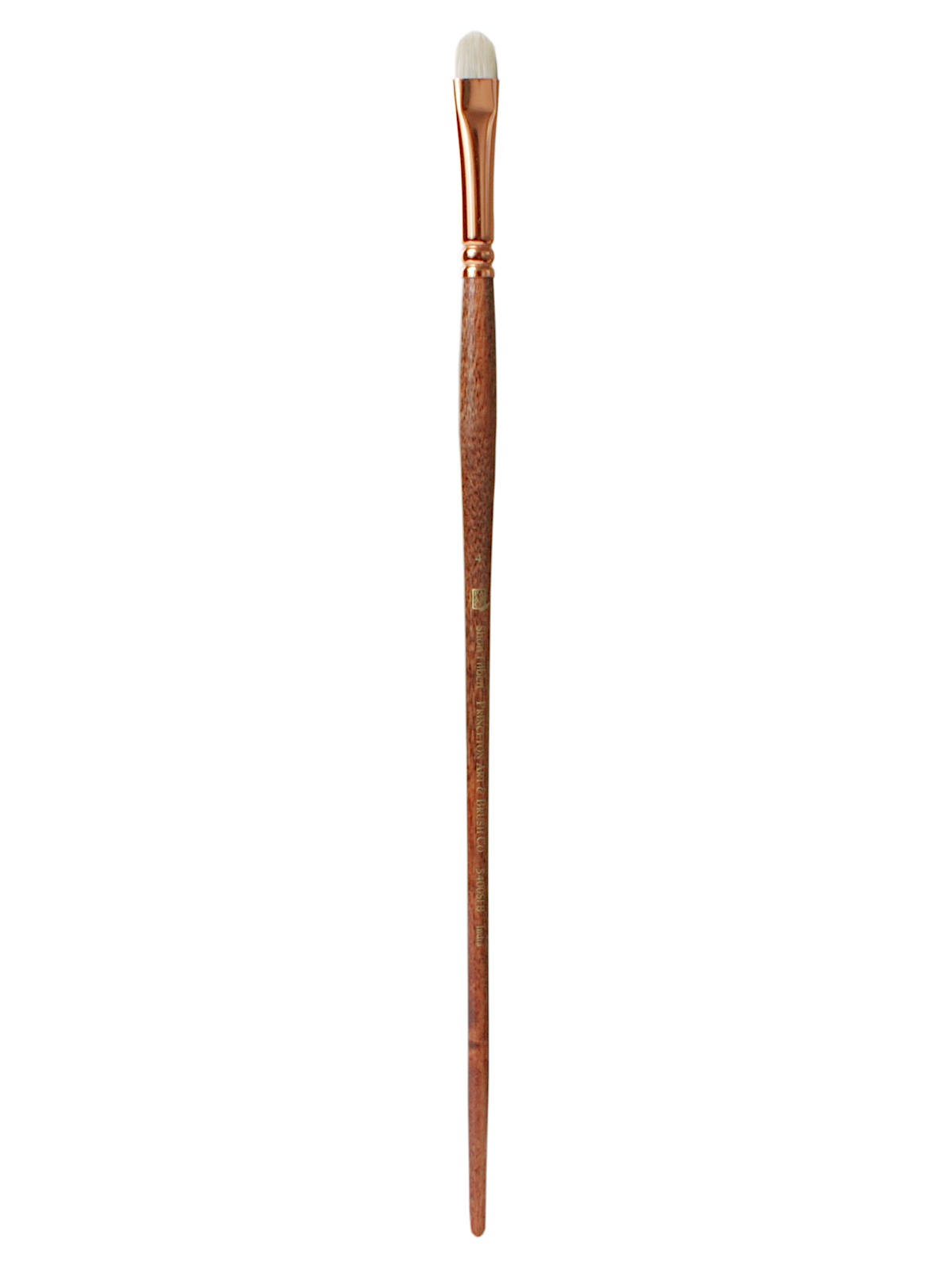 Series 5400 Refine Bristle Long Handle Brushes 4 short filbert