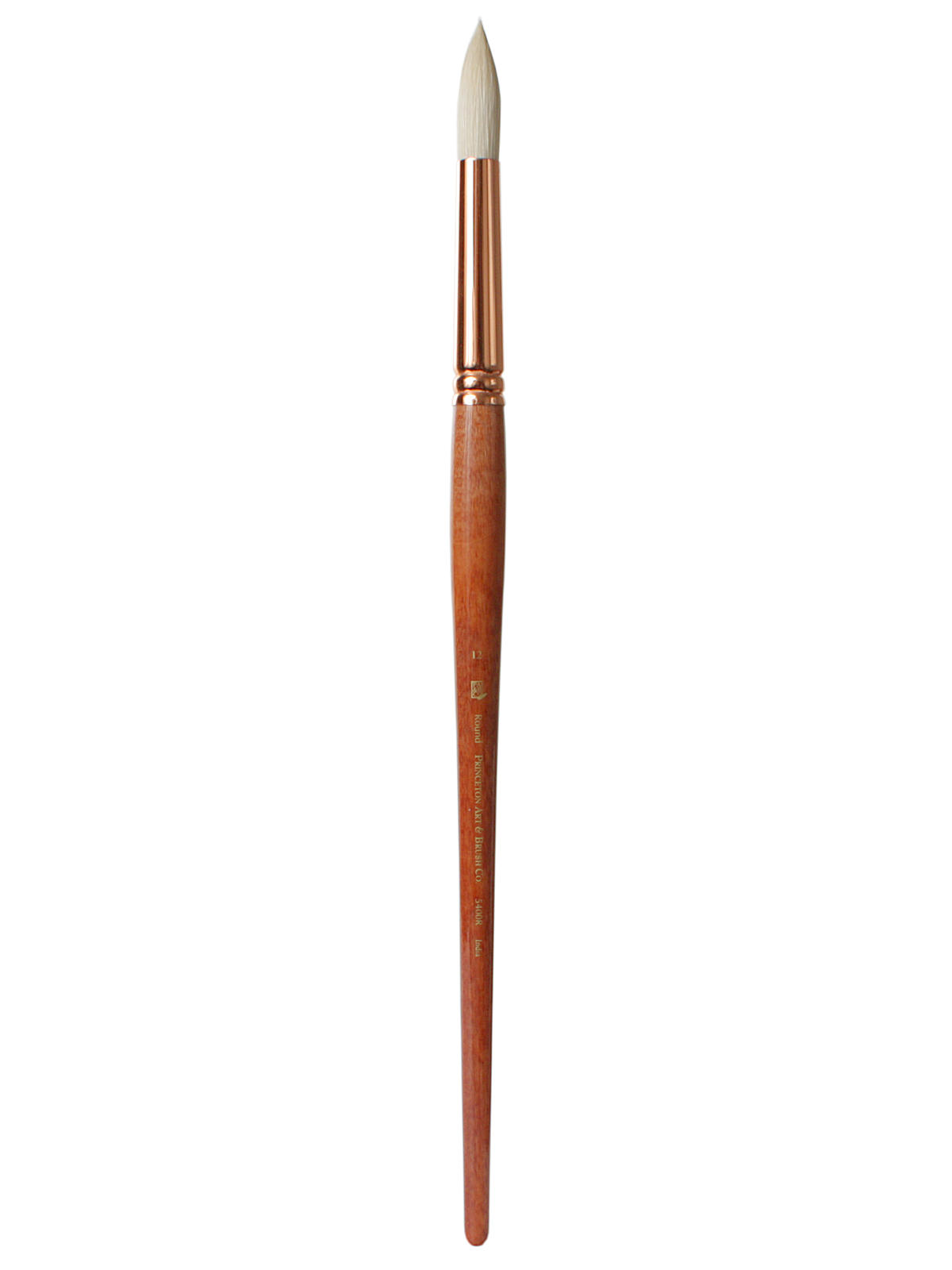 Series 5400 Refine Bristle Long Handle Brushes 12 round