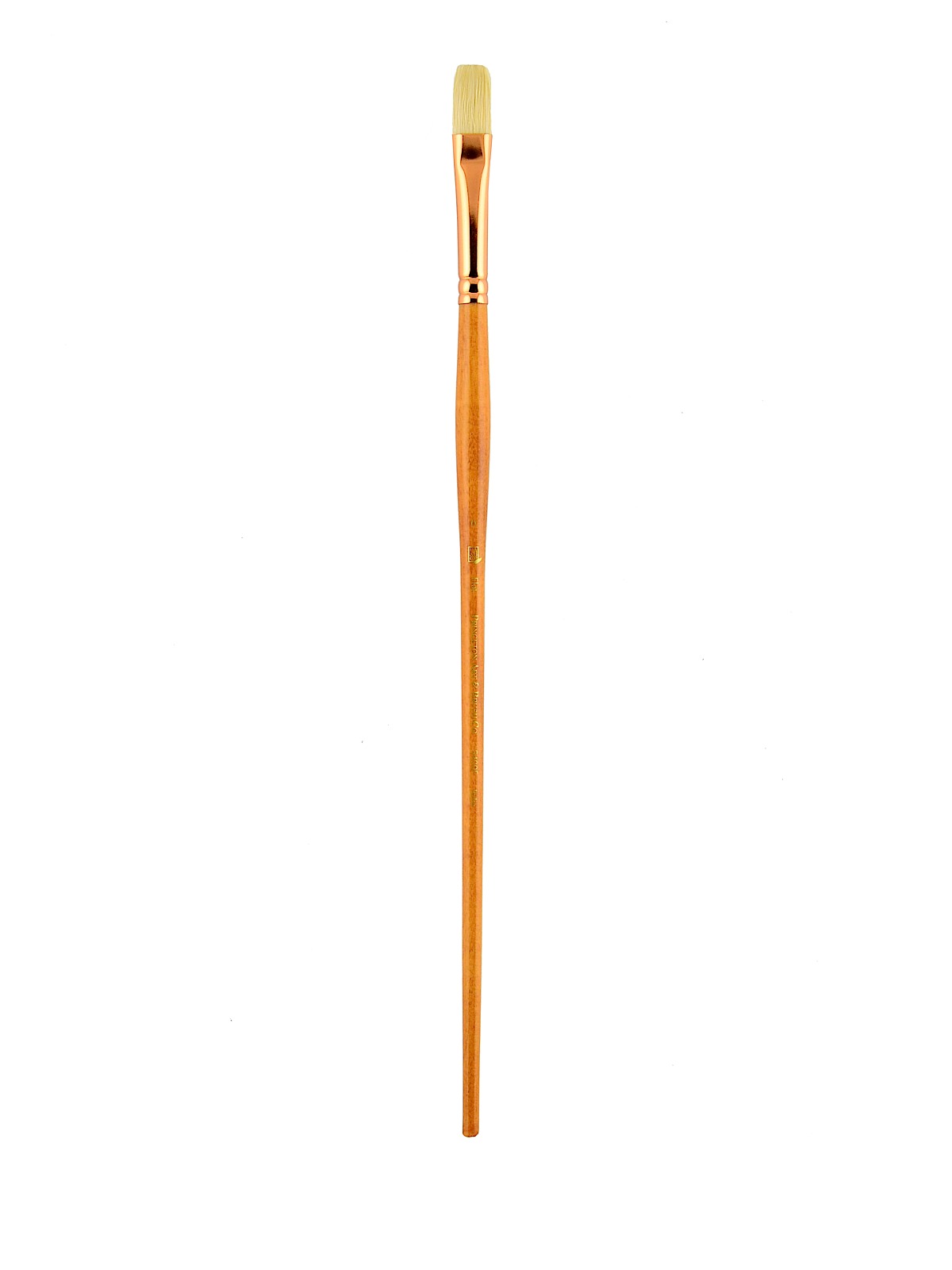Series 5400 Refine Bristle Long Handle Brushes 6 flat