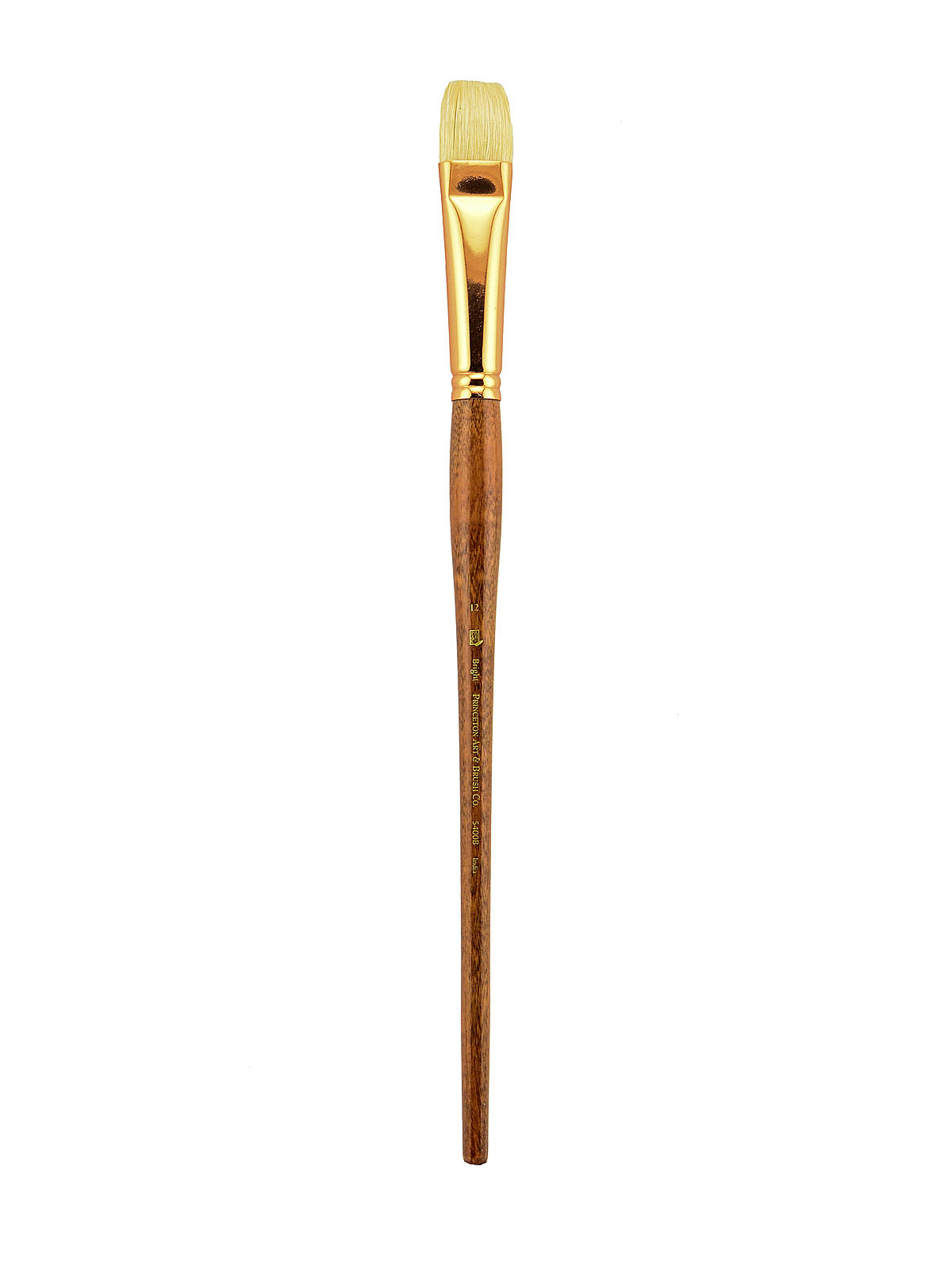 Series 5400 Refine Bristle Long Handle Brushes 12 bright