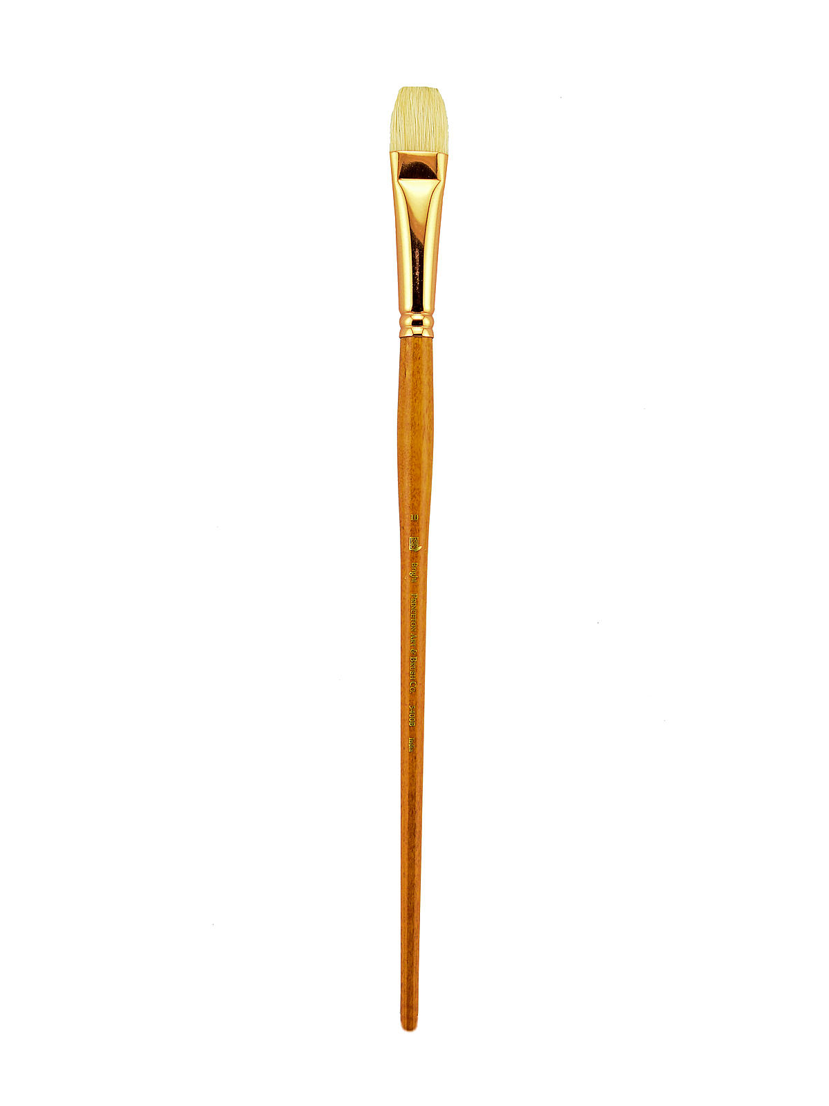Series 5400 Refine Best Interlocked Bristle Long Handle Brushes 10 Bright