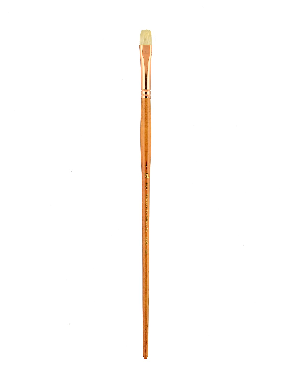 Series 5400 Refine Bristle Long Handle Brushes 6 bright