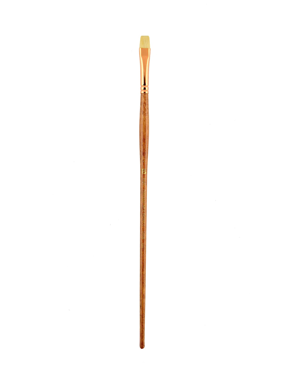 Series 5400 Refine Bristle Long Handle Brushes 4 bright