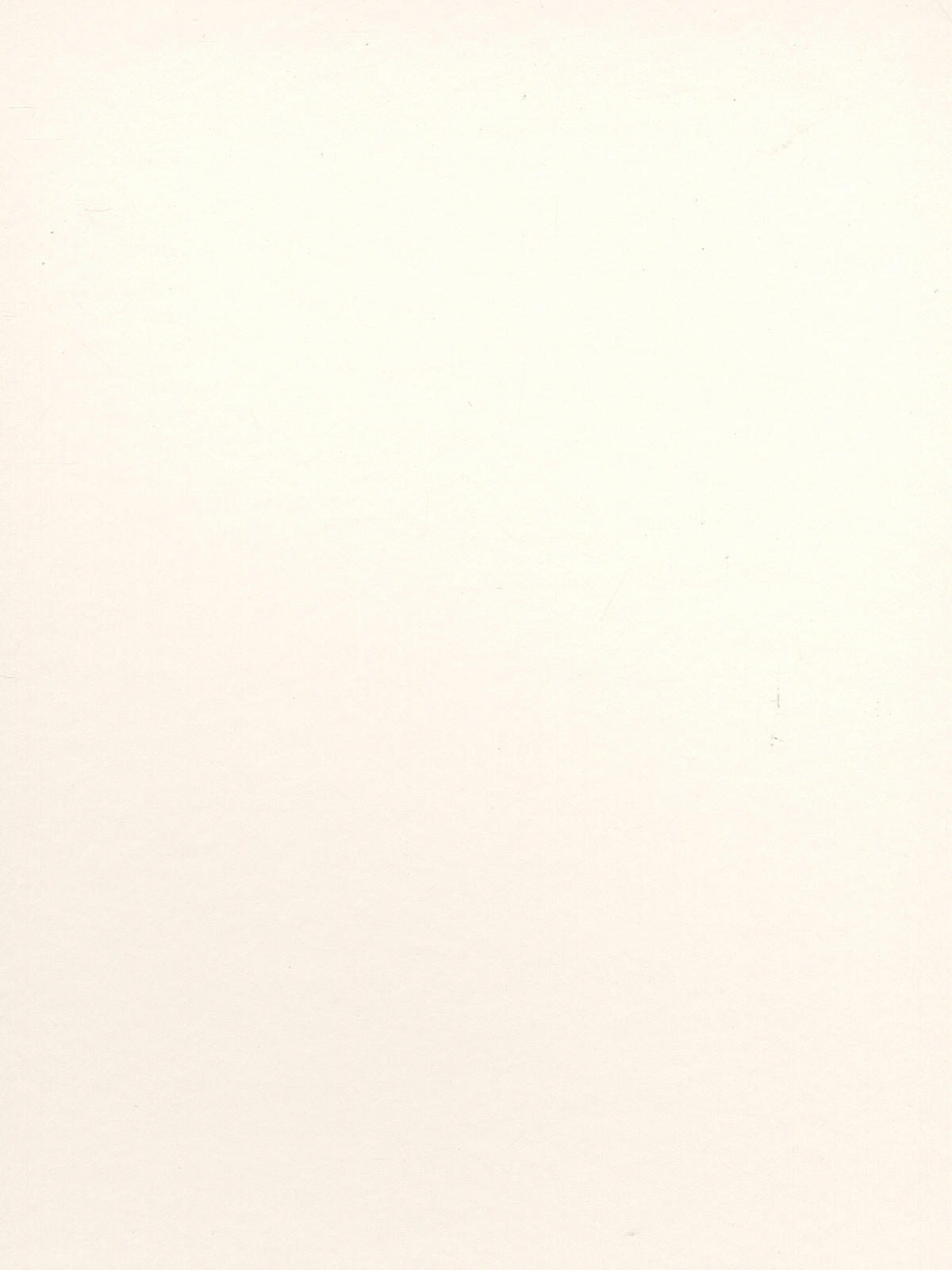 Bristol Smooth Art Board 16 in. x 20 in.