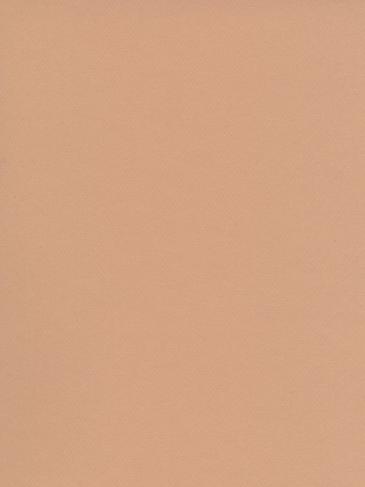 Mi-teintes Tinted Paper Oyster 19 In. X 25 In.