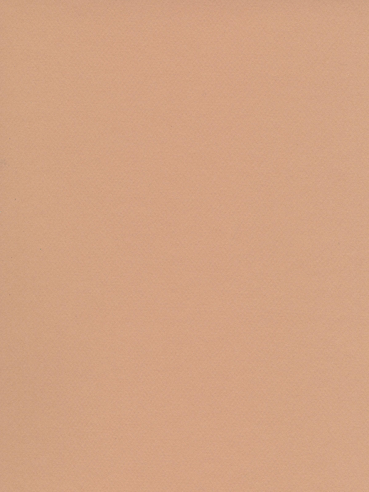 Mi-Teintes Tinted Paper oyster 19 in. x 25 in.