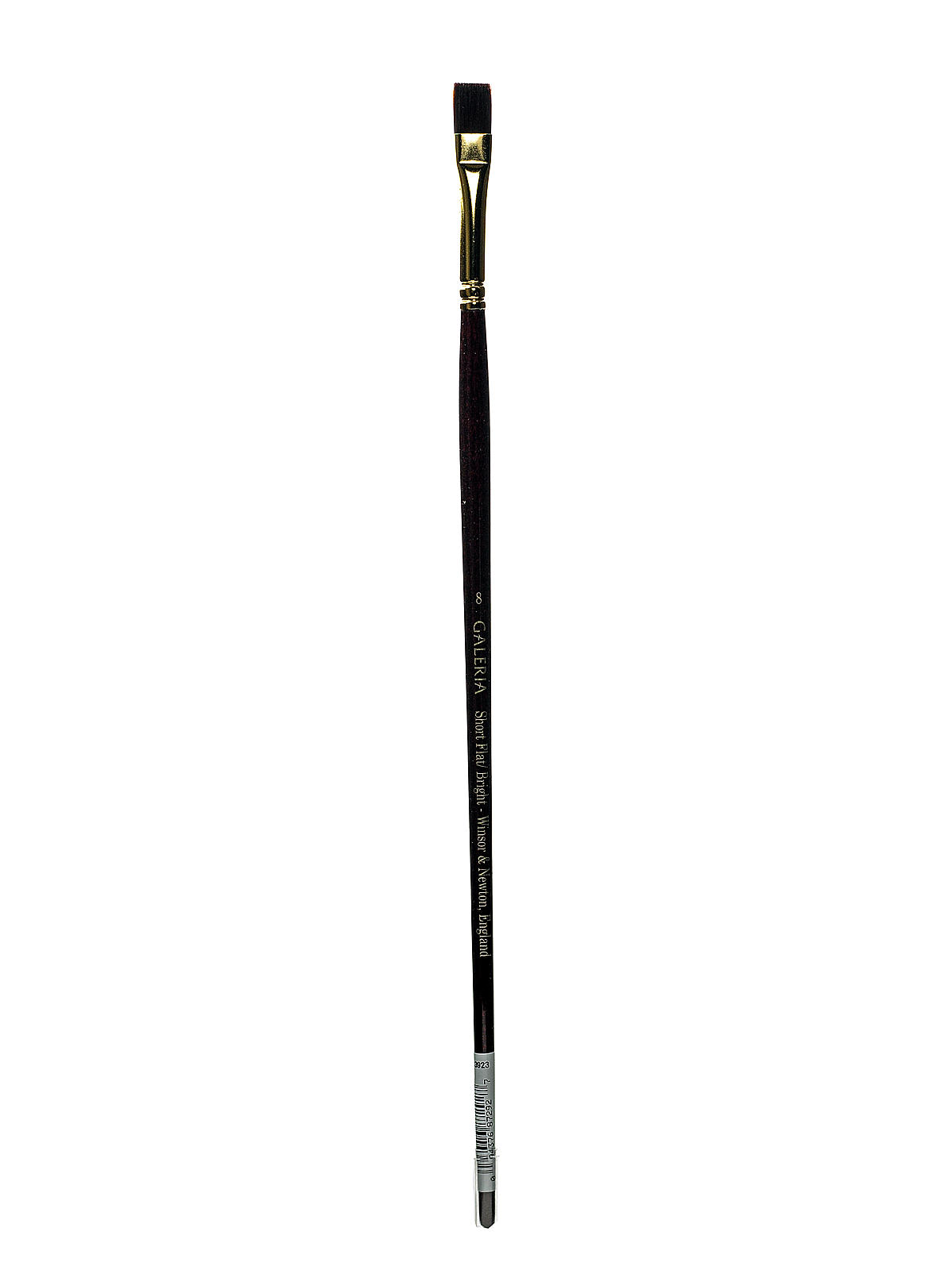 Galeria Long Handled Brushes 8 flat bright