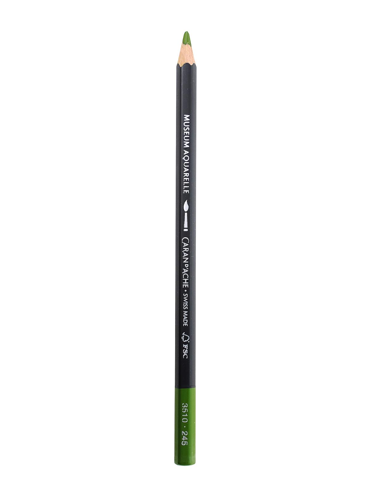 Museum Aquarelle Colored Pencils light olive 245