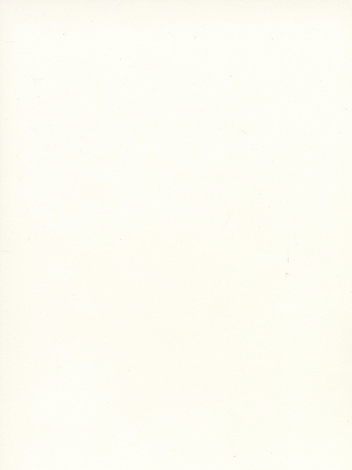 500 Series Bristol vellum 3 ply 23 in. x 29 in. sheet