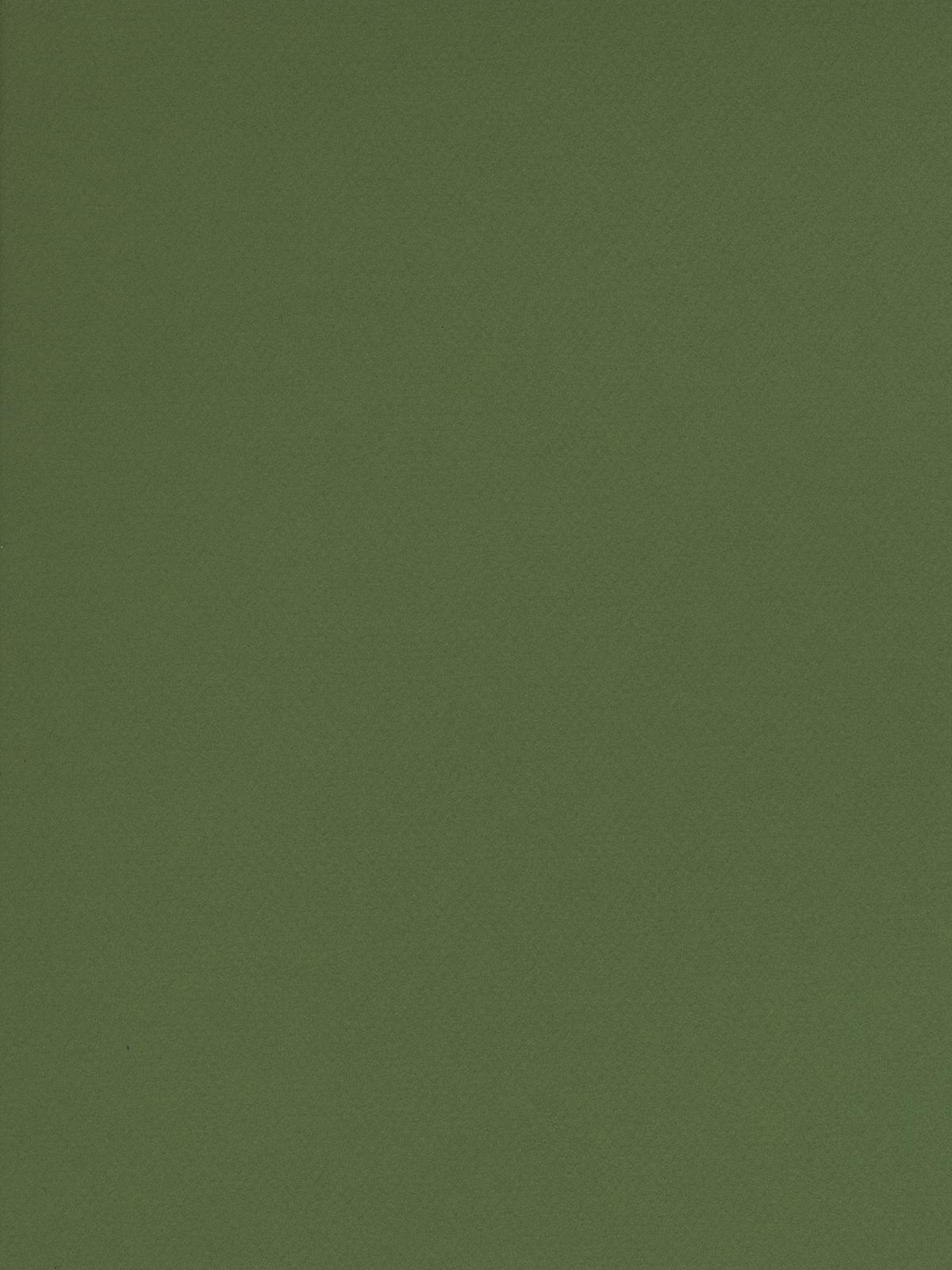 Mi-Teintes Tinted Paper green 8.5 in. x 11 in.