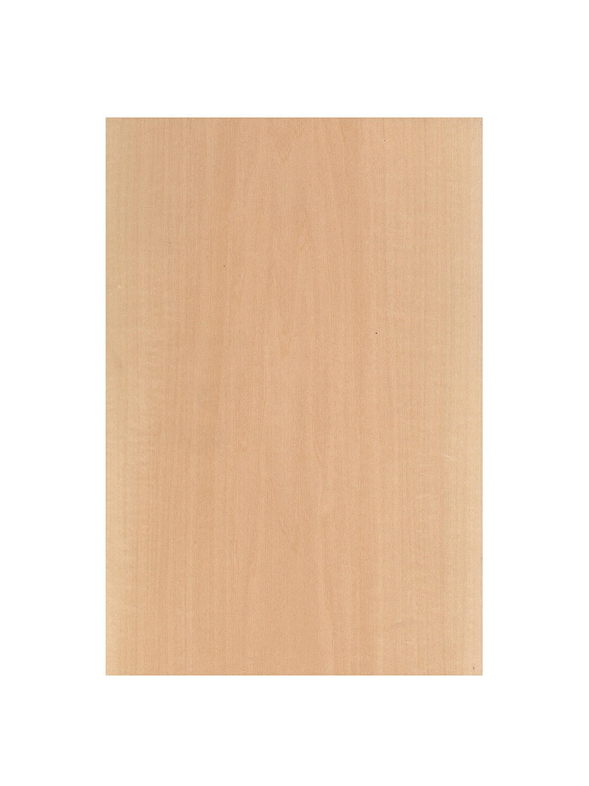 Basswood Sheets 1 8 In. 8 In. X 24 In.