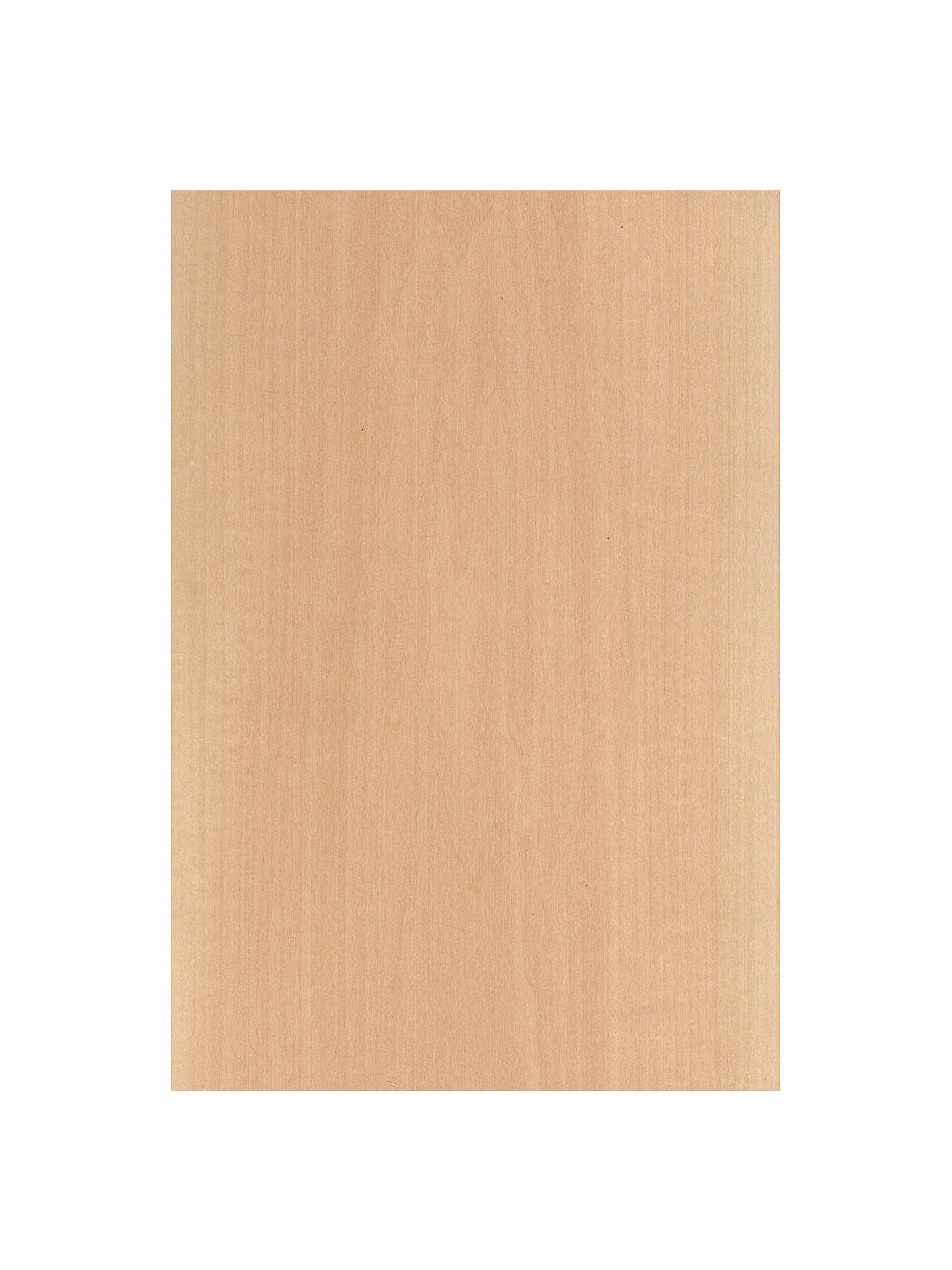 Basswood Sheets 1 8 in. 8 in. x 24 in.