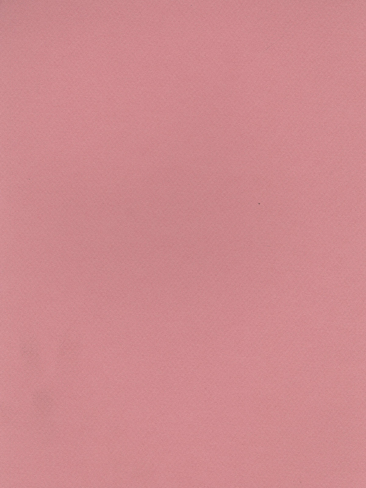 Mi-teintes Tinted Paper Orchid 8.5 In. X 11 In.