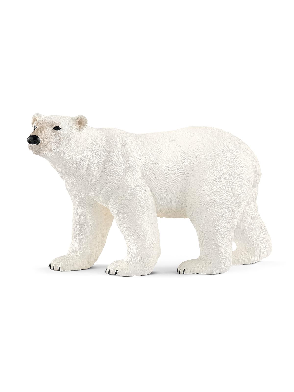 Wild Life Animals Polar Bear