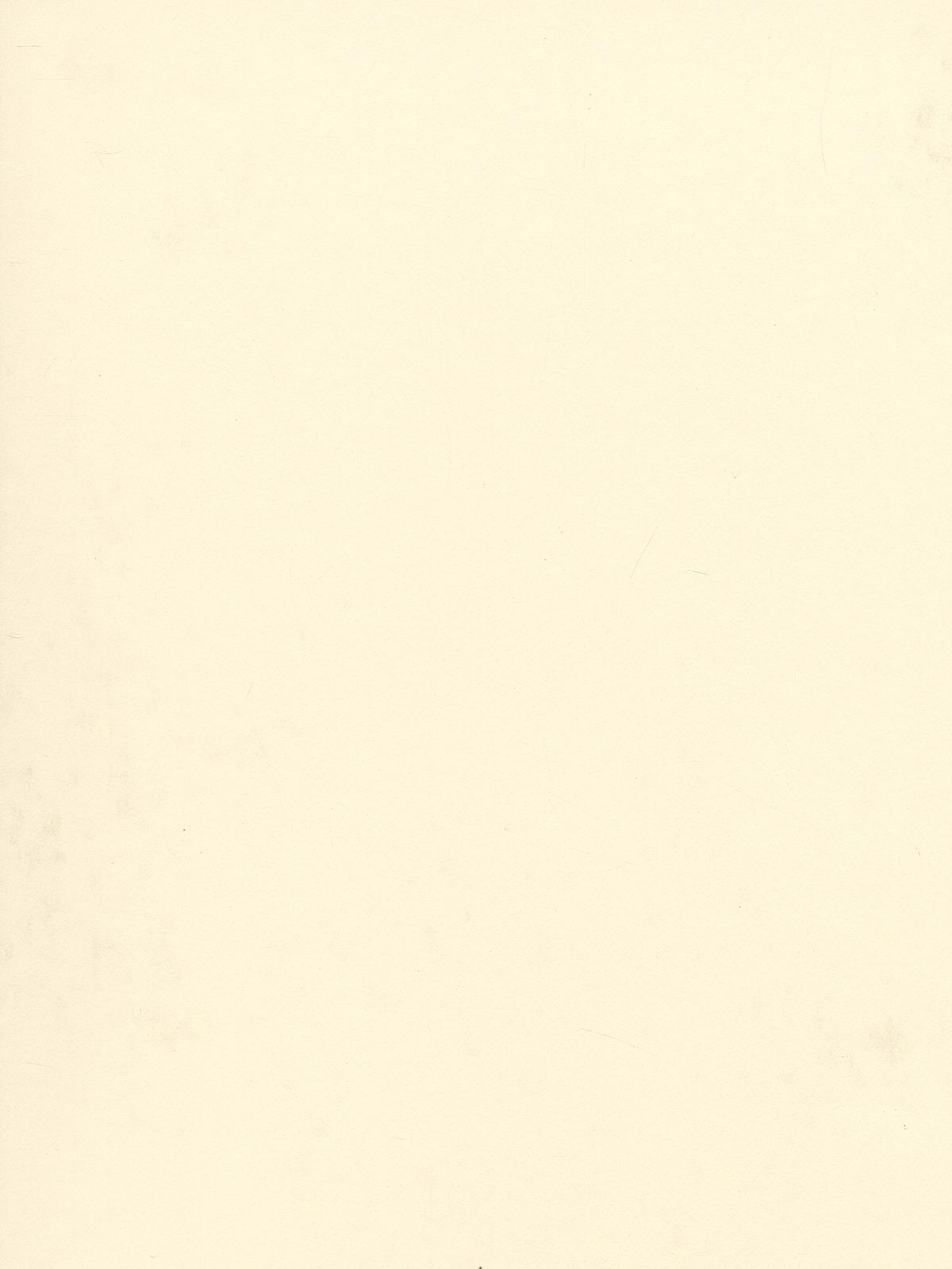 Hot Press Illustration Boards 15 in. x 20 in. each no. 201