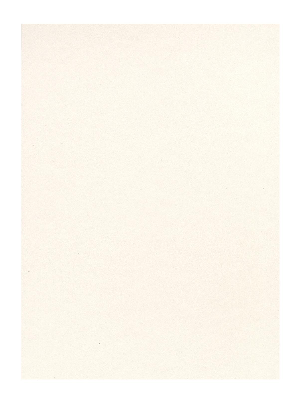 Watercolor Board 15 in. x 20 in. cold press each