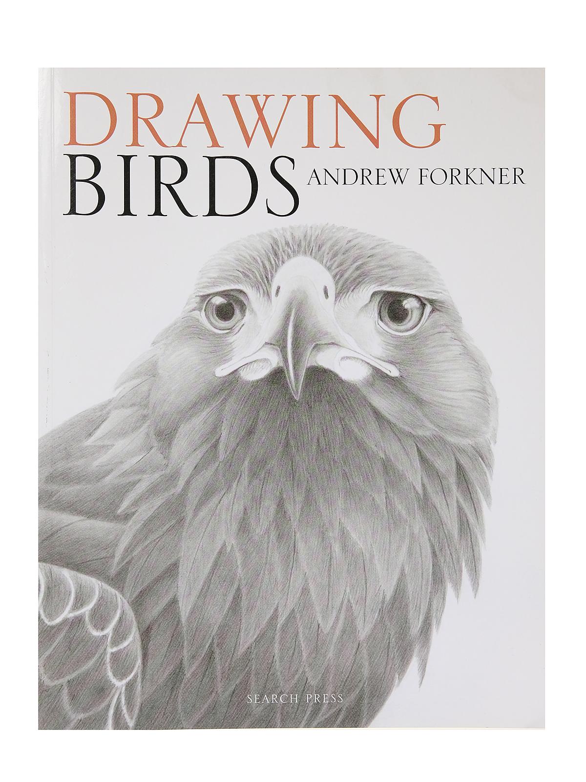 Drawing Birds each