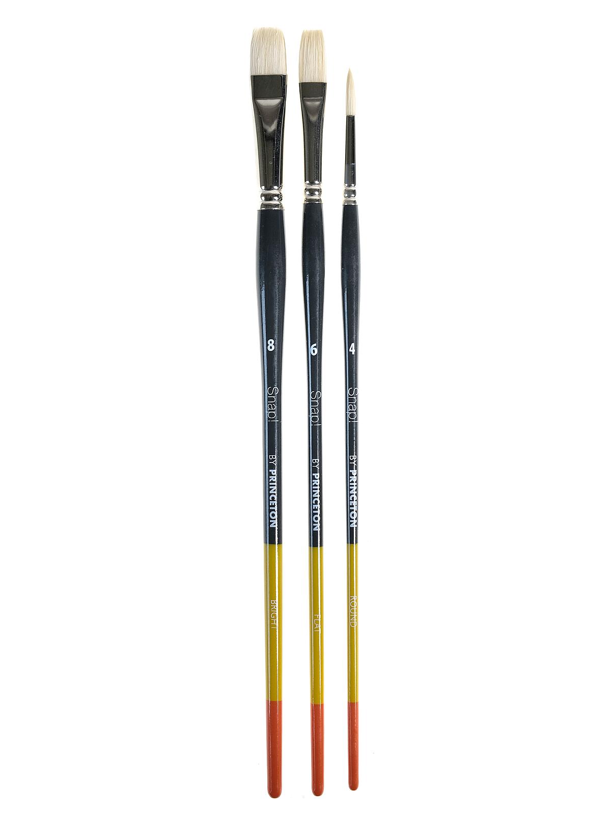Snap Brush Sets 4 long handle 3-piece