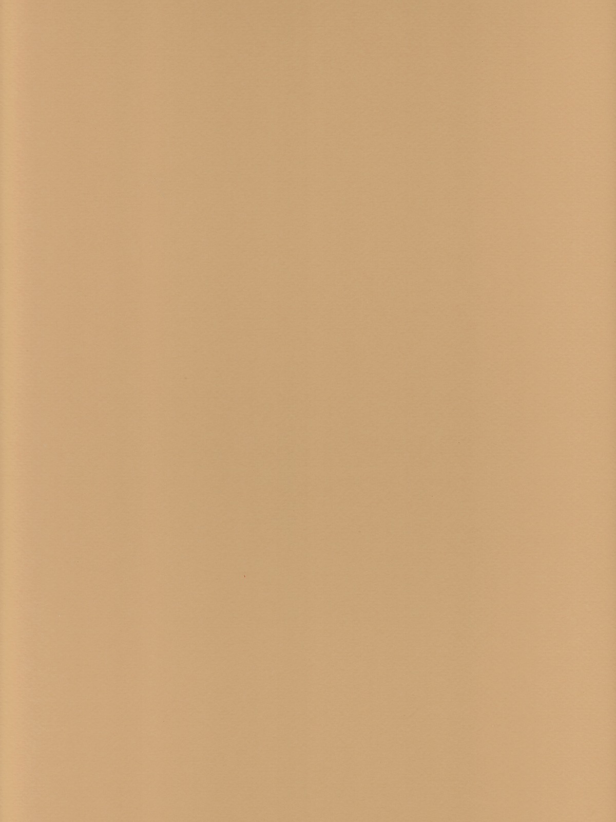 Mi-Teintes Mat Board oyster 16 in. x 20 in.