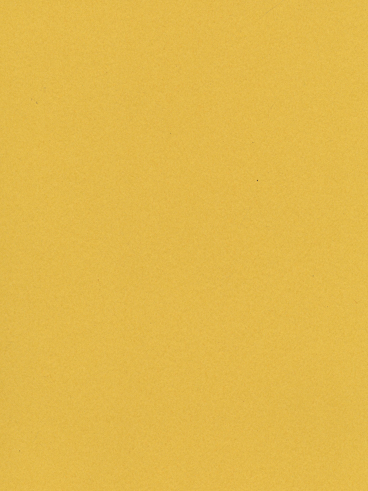 Peacock Railroad Board lemon yellow 4 ply each